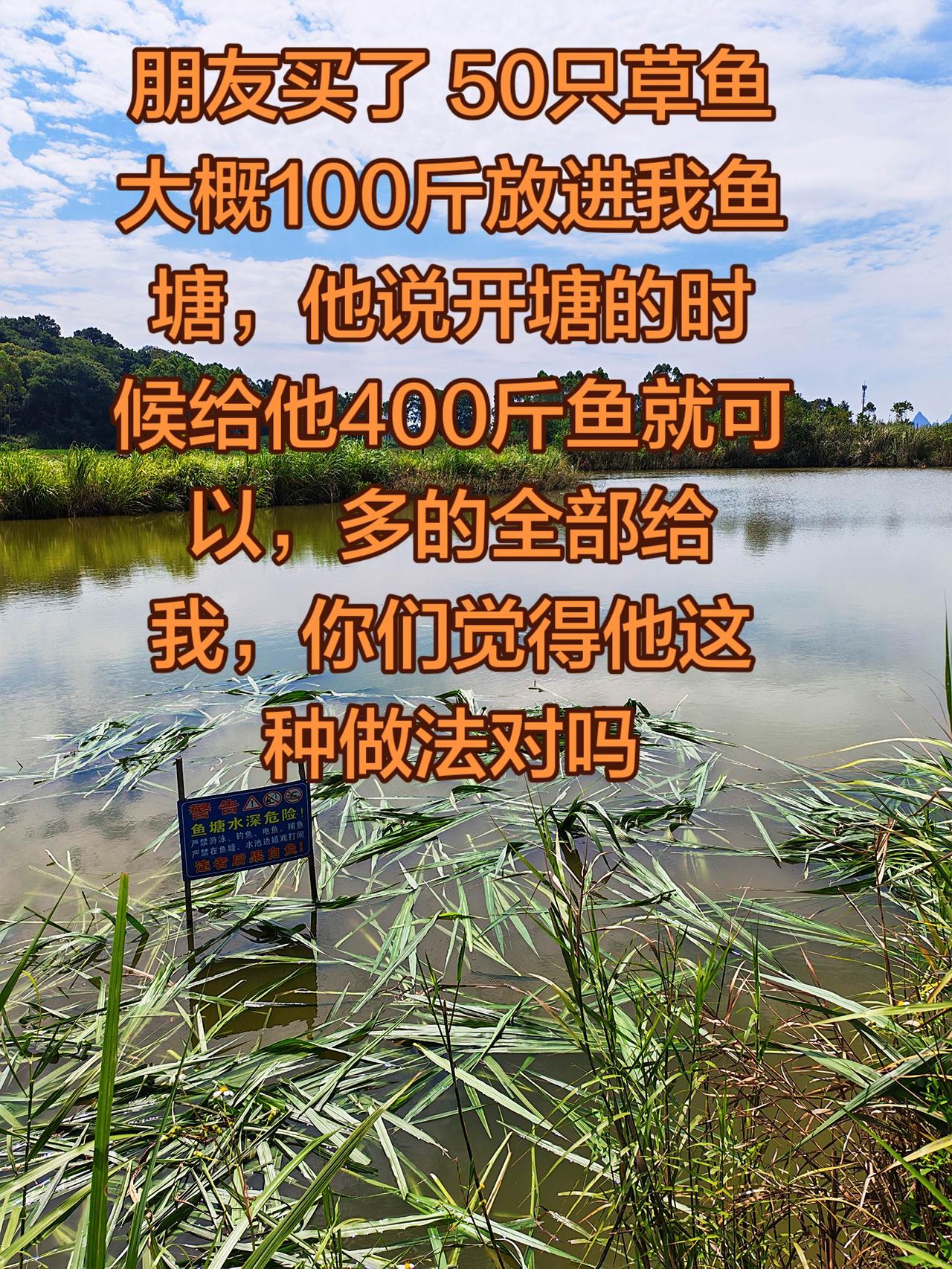 碰到这样的情况怎么办，是不是觉得他很有道理养鱼草鱼农村生活