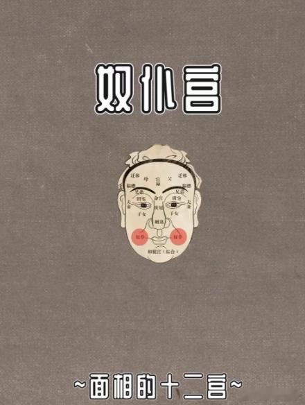 脸颊，面相上叫奴仆宫、交友宫。脸颊饱满有肉、苹果肌润泽的人，晚年身边有人陪、有人帮，部属晚辈缘好；脸