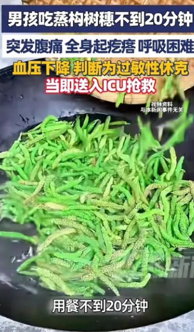 “悲剧还是发生了！”河南许昌，一男子带儿子去饭店吃饭，点了一份蒸构树穗，不料，吃
