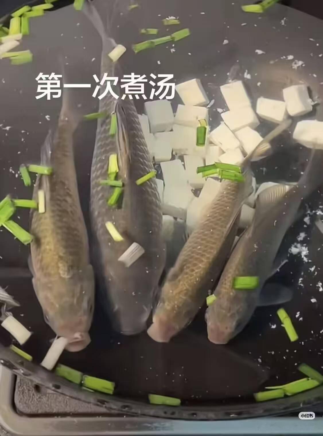 还有饲料​​​