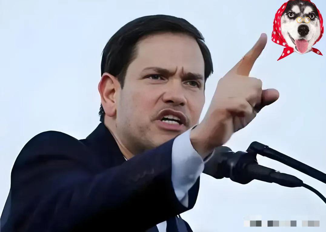 刚刚得知！美国国务卿鲁比奥正式表态！12月3日，美国国务卿鲁比奥在得