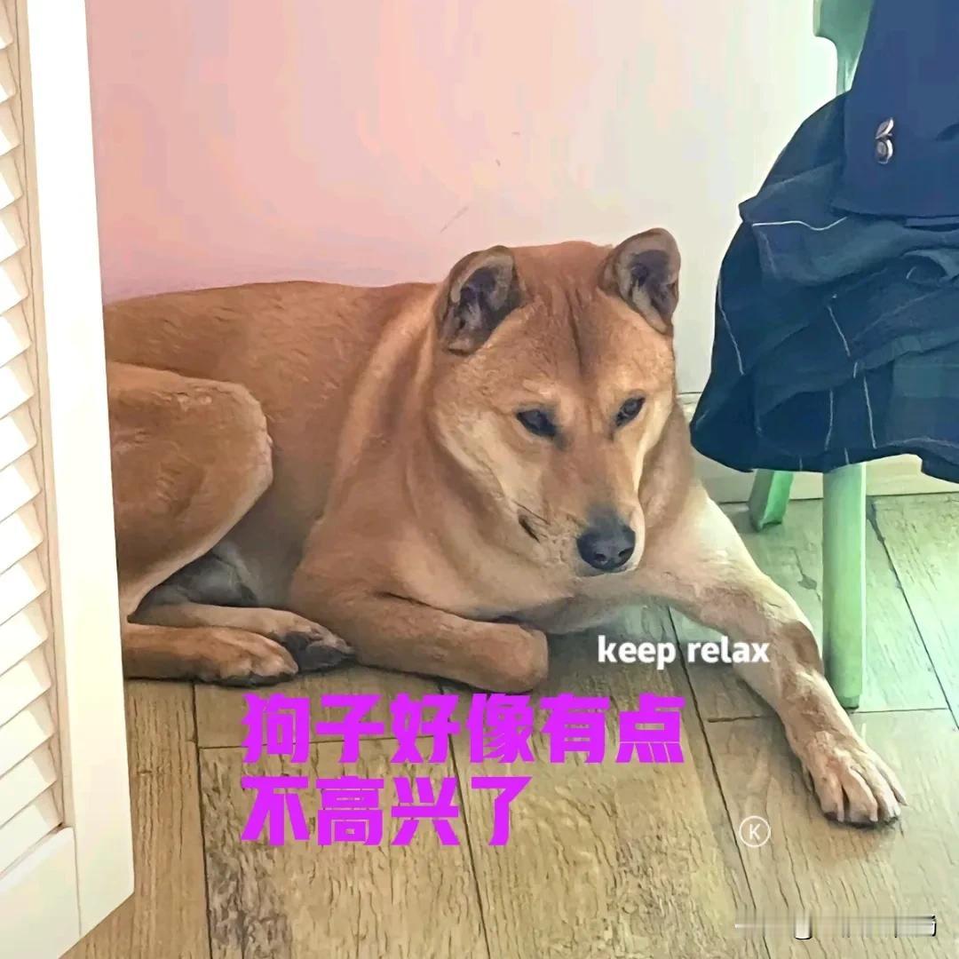 今天的太阳有点大，吃完午饭后，狗子在家里一直吵着要出去，被我狠狠地骂了一顿。狗子
