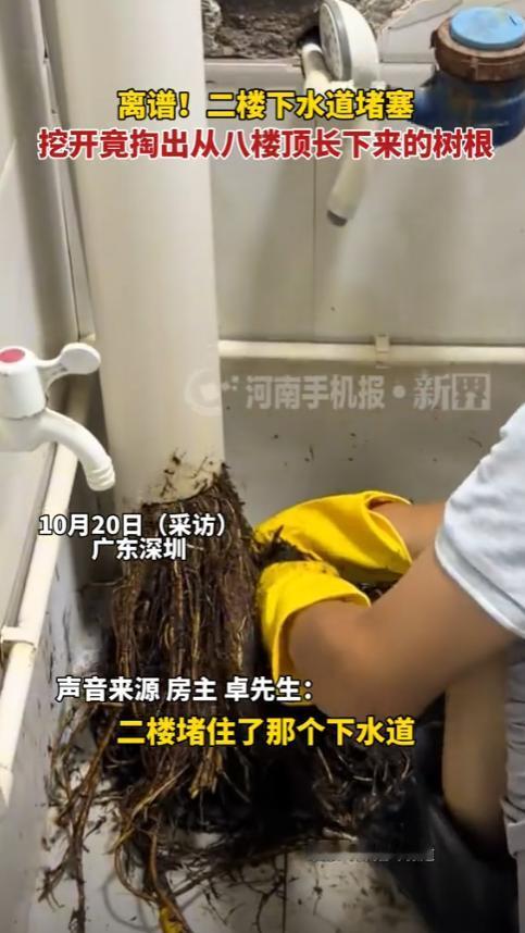 真是活久见！广东深圳，一租户在2楼居住突然发现下水道被堵得严严实实，租户小林