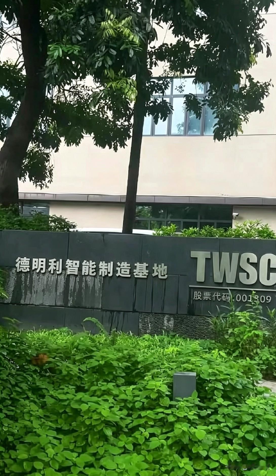 打开账户看了一眼德明利，我真的想抽自己两巴掌。980块钱买的股票，现在跌得就剩个