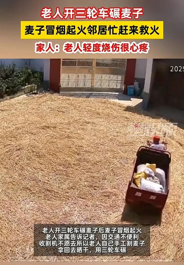太心疼了！近日，陕西汉中一位老人收割完麦子后，放在院子里晾晒，下午两点多时，骑着