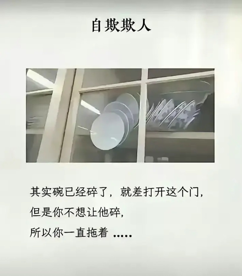 这张图简直就是薛定谔的猫，碟子处于一个量子叠加态，既生又死，你隔着玻璃观察它是活
