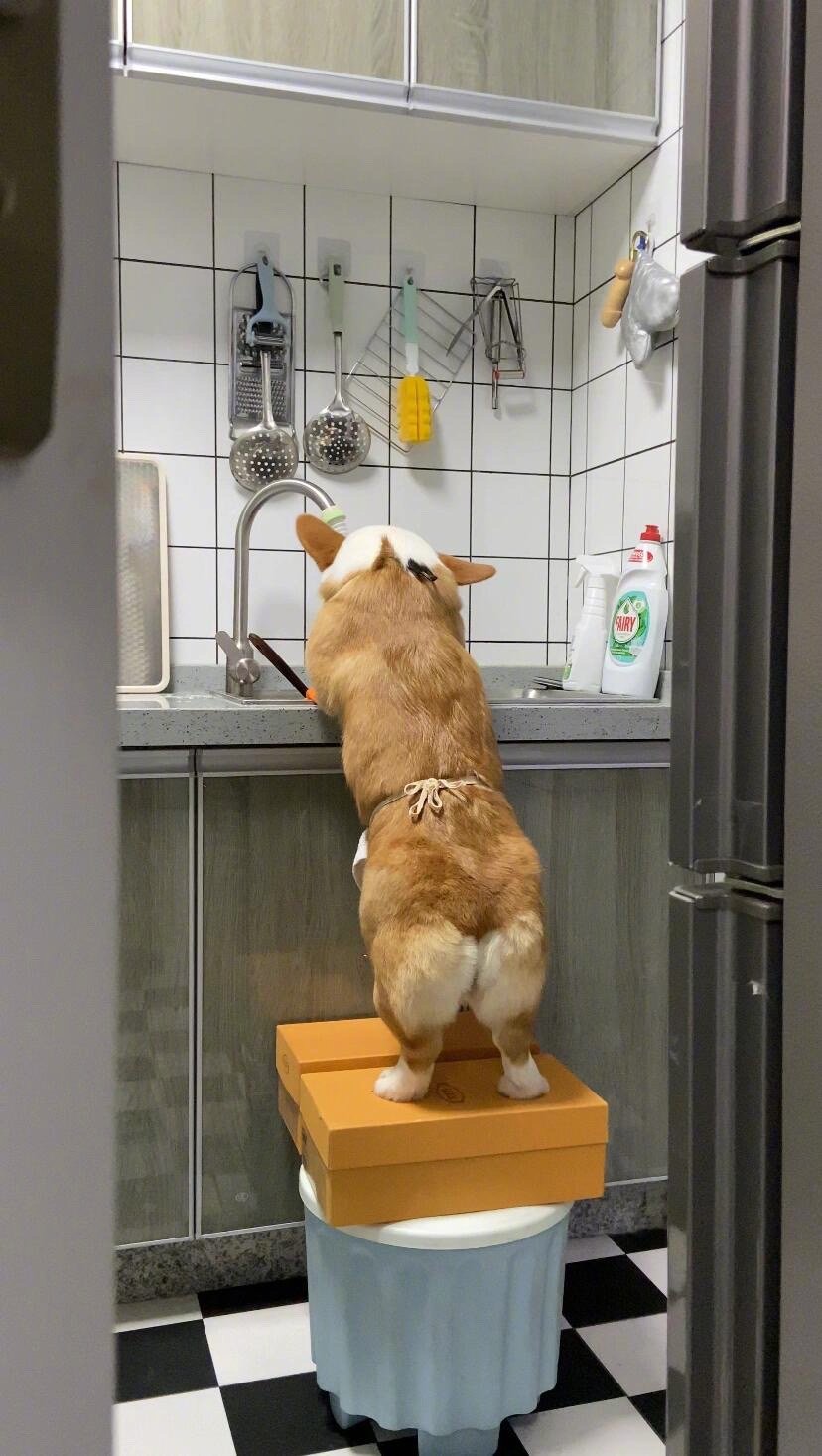 养狗千日用狗一时​​​