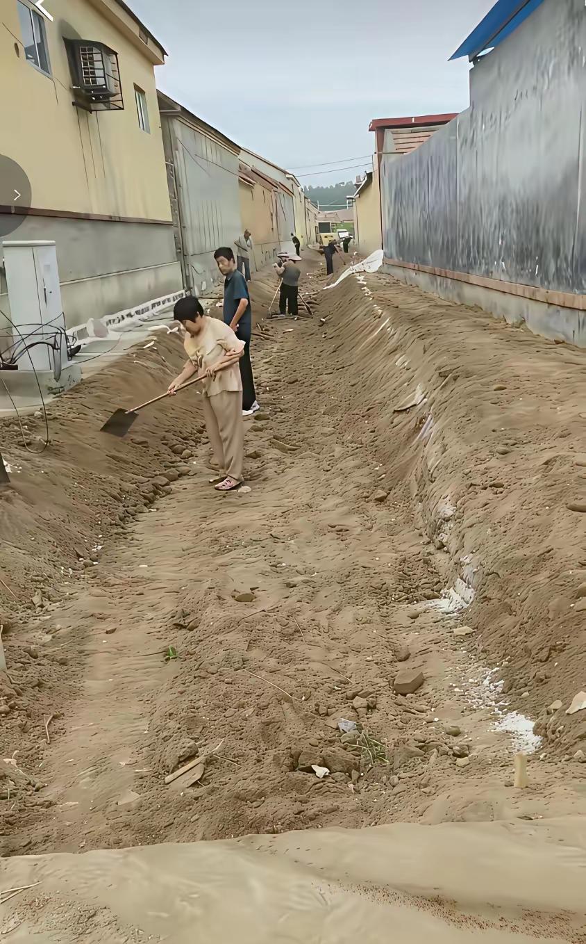 村里要修路，家家都忙活起来了[笑着哭]