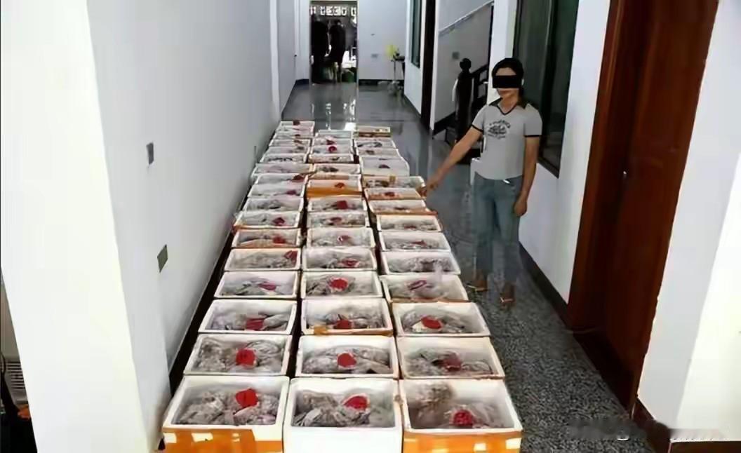 韩国破获的这起最大走私案，真让人惊掉下巴！谁能想到走私的竟是中国农产品。从202