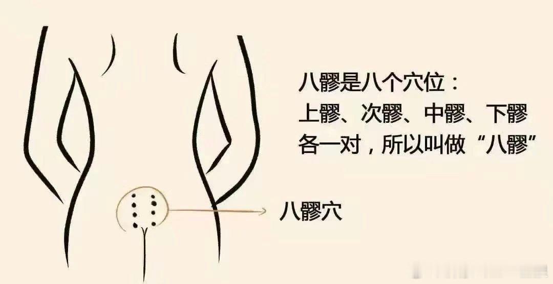 【一个巴掌大的地方！竟能调 90% 的女人病、男人病！】前两期密码君带大家疏通了