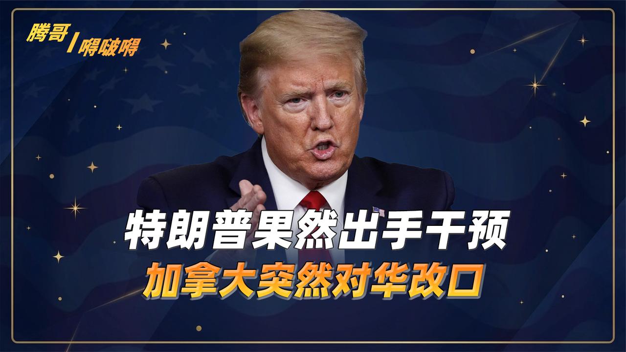 加拿大对华油菜籽出口改口：65万吨能否白买？三大因素解析