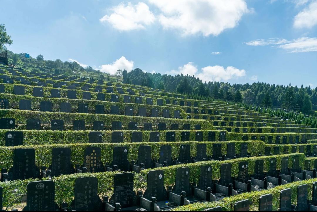  殡葬改革来了！高价墓、天价盒成历史，以后身后事越办越省心！家人们，2