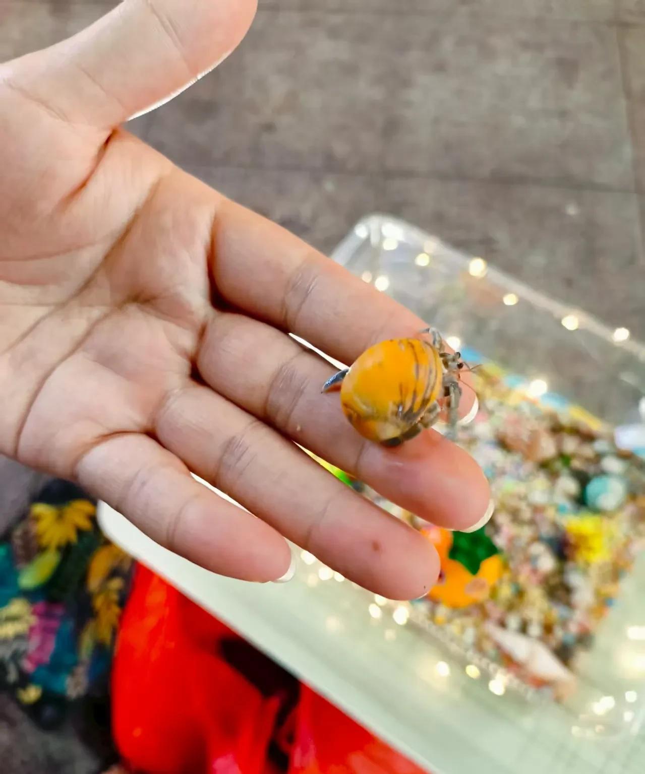 凭怀孕就可以鱼跃龙门了吗？我有一个远房亲戚，今年差不多40岁，大概在五年前的时