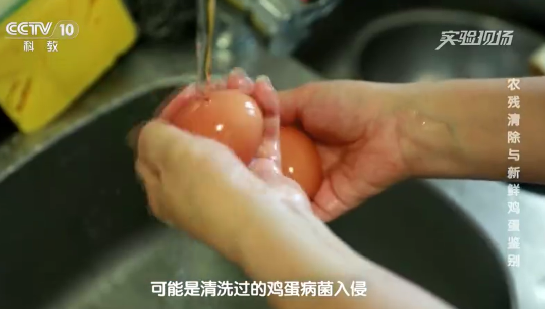 一家三口吃水洗鸡蛋后集体中毒, 专家提醒