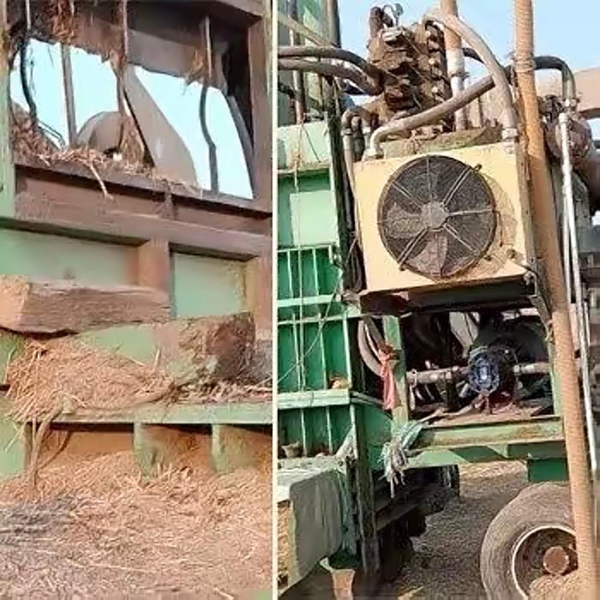 谁能想到，母亲一个喊儿子来修机器的举动，竟酿成了再也无法挽回的悲剧。安徽淮北的一