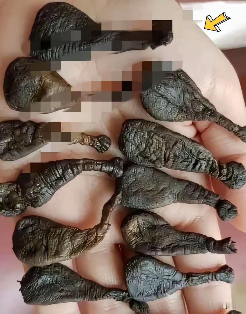 昨晚这一翻，差点没把我魂吓飞！可冷静下来想想，真正让人害怕的，未必是背包里那