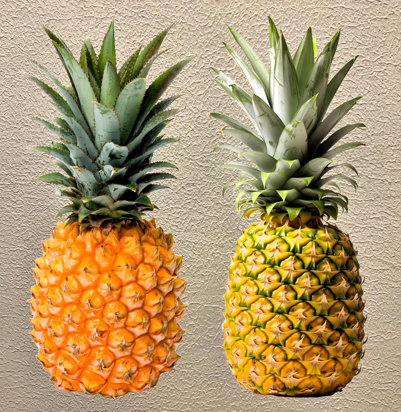 🔥🍍菠萝凤梨吵了这么多年，其实根本没必要较真逛菜市场的时候，总能碰见摊