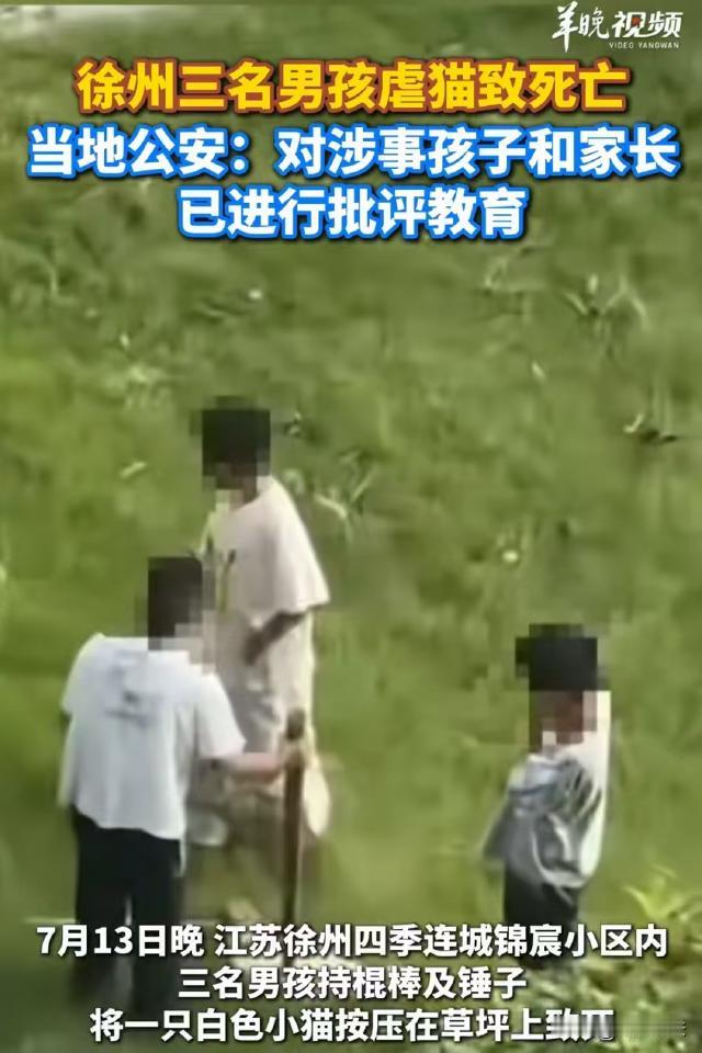 他还是个孩子？江苏徐州，三个小男孩拿着木棍和锤子，围住一只小白猫，将小猫打死了。