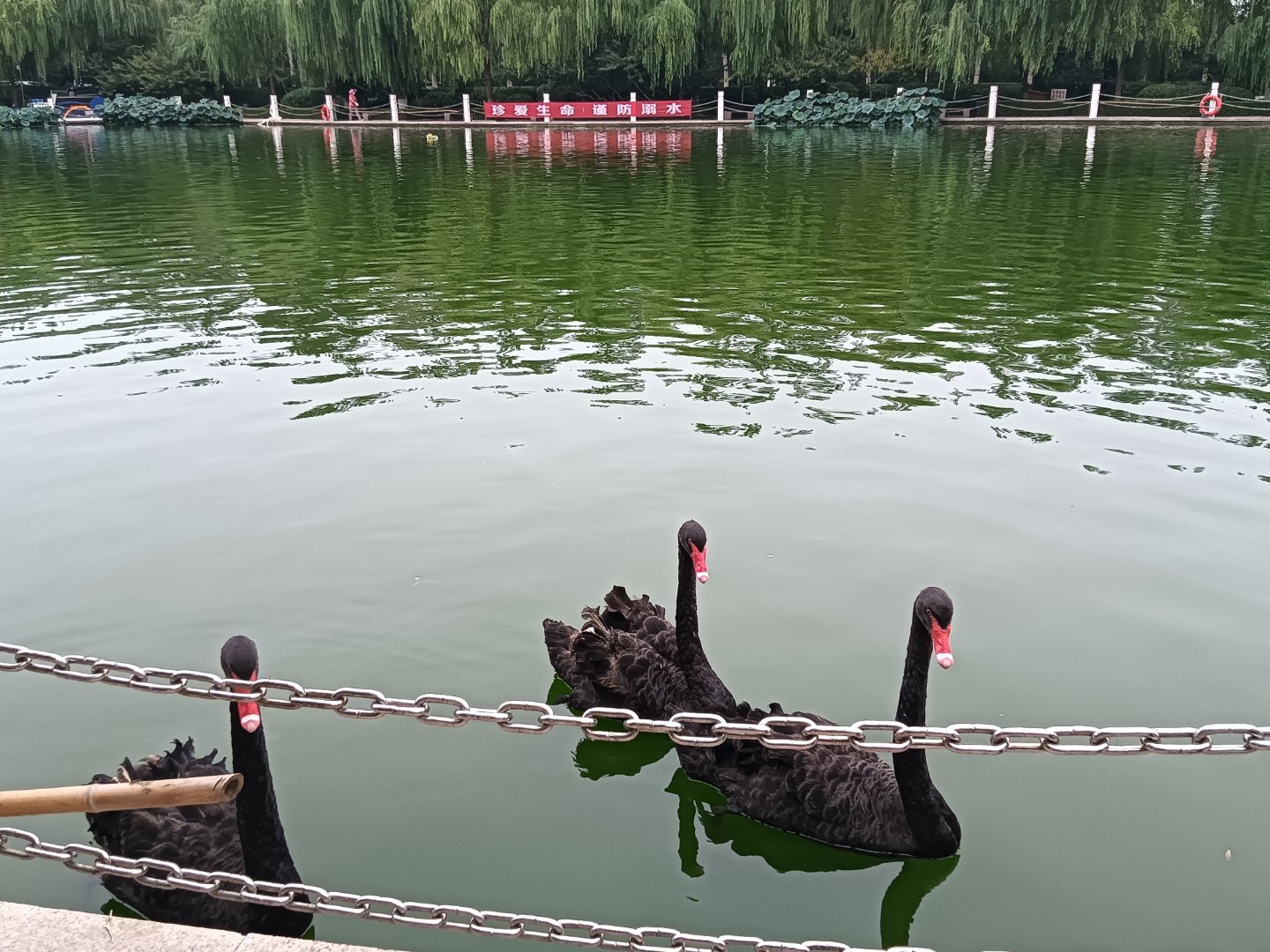 每日一善每一个人都可以成为生活中的阳光。用我们的微笑、用我们的善良、用