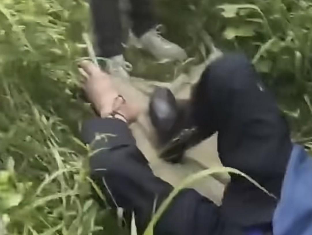 前一秒某个生态专家说，为了防止劳作时被毒蛇咬伤，可以穿上长靴，没想到下一秒就被啪