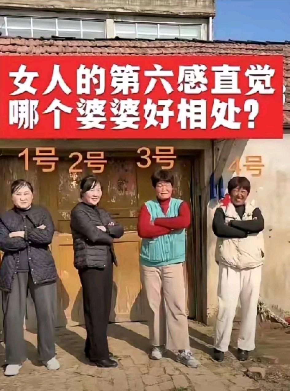 凭女孩子的直觉，四个婆婆中，哪个可能最好相处？