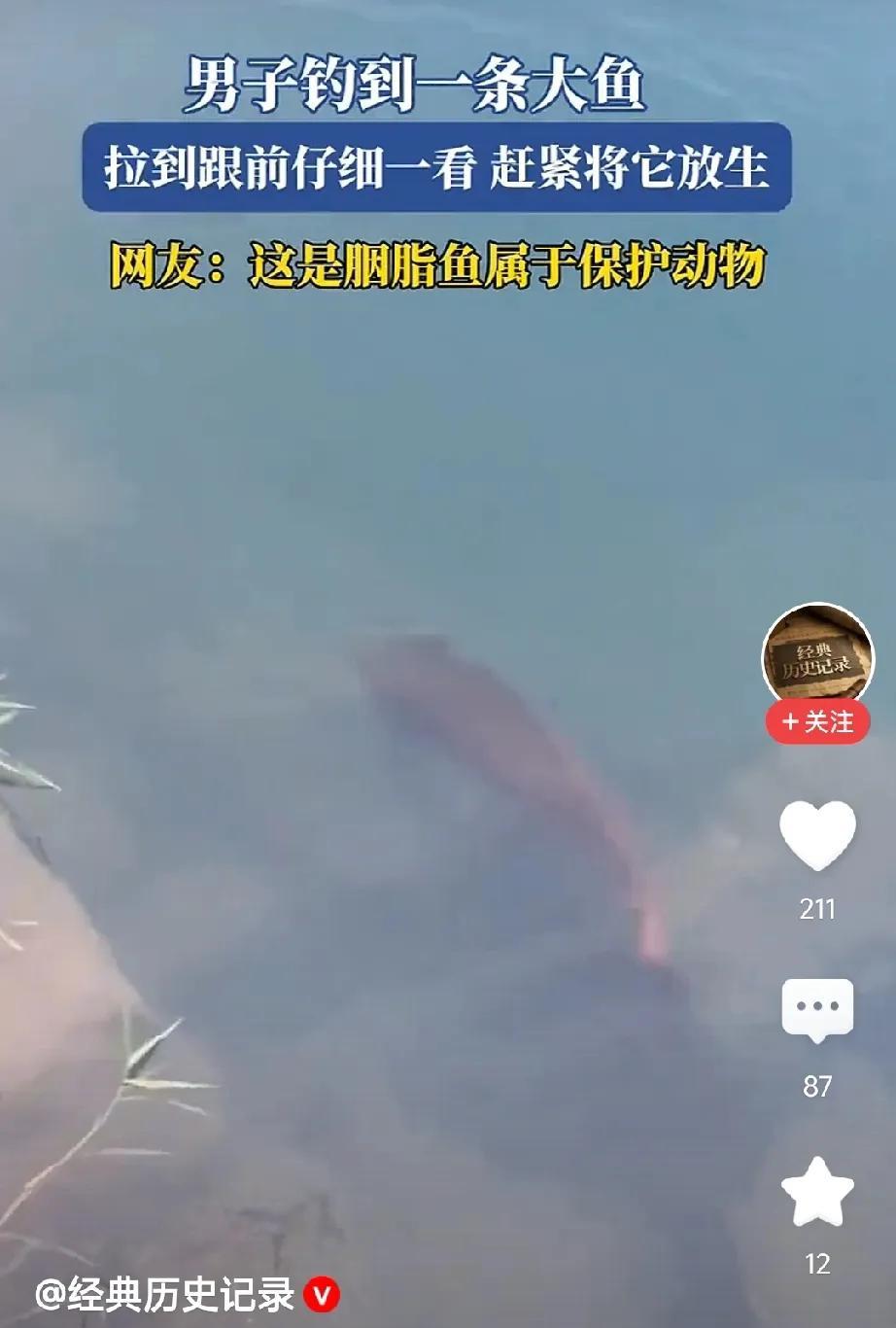 泪目！湖北，男子钓到一条金黄色大鱼，不料，拖上岸一看，却被吓得脸色大变。这鱼长的