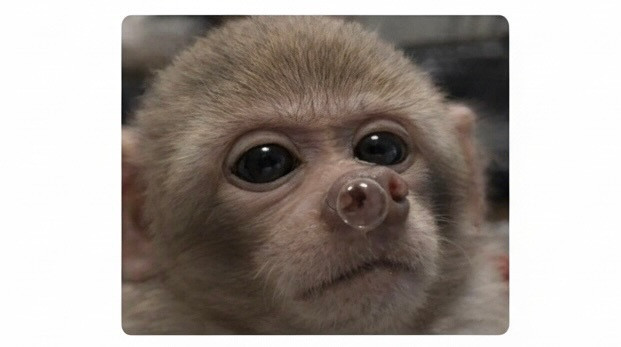 天气稍微有点变化时我：meme