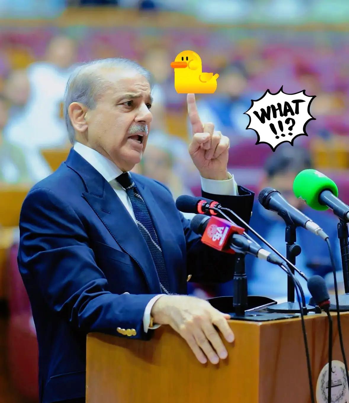 真是养不熟啊😦巴基斯坦总理谢里夫在一次采访中表示，巴基斯坦需要的是不带附