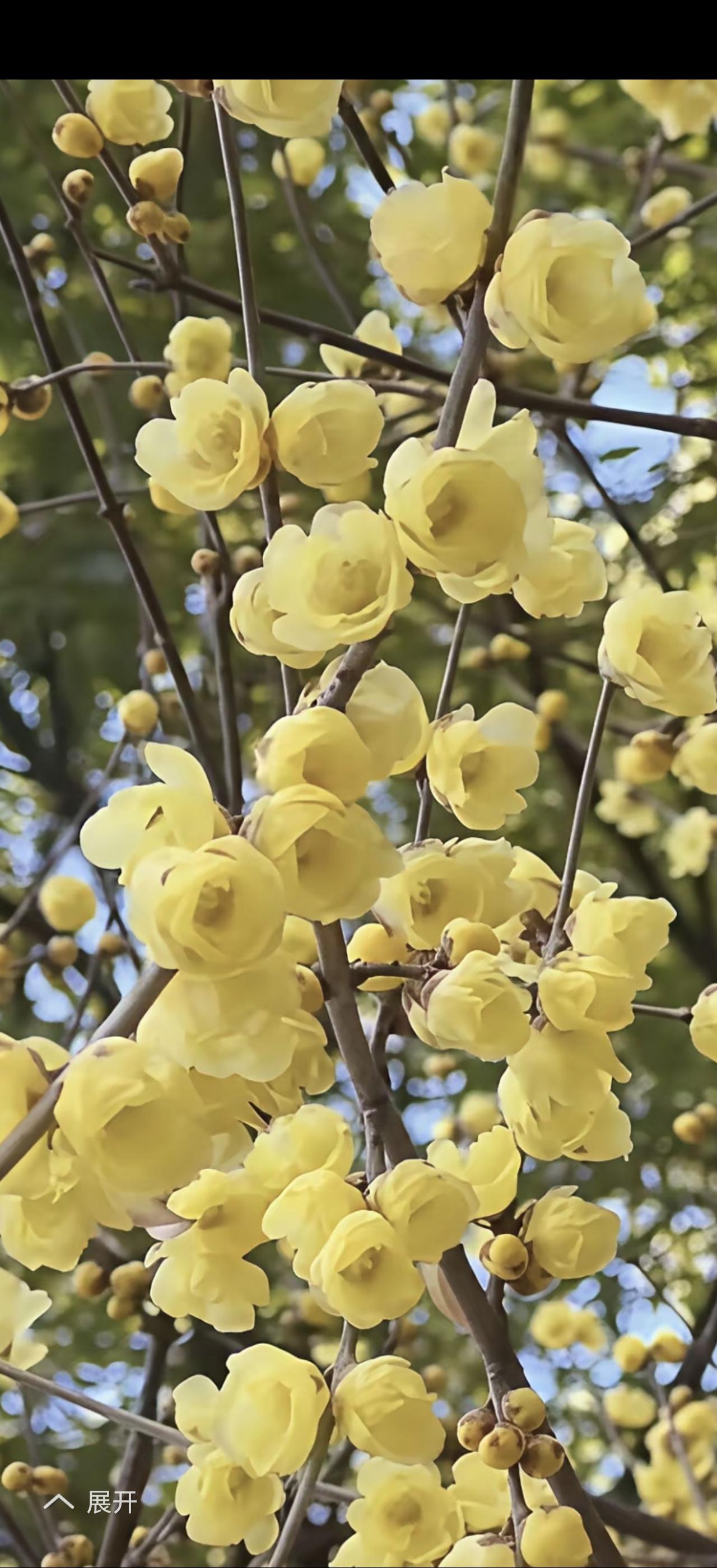 “心有暖阳，何惧风霜”，这句话太在理了。生活中，风霜总会不请自来。人到中年，就像