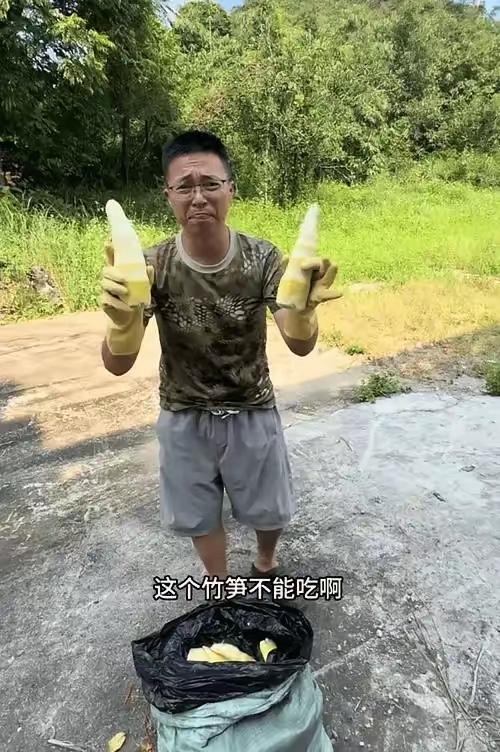 百亿产业，一锅硫磺。清远的笋，不能碰了。​清远麻竹笋全产业链产值109.65亿