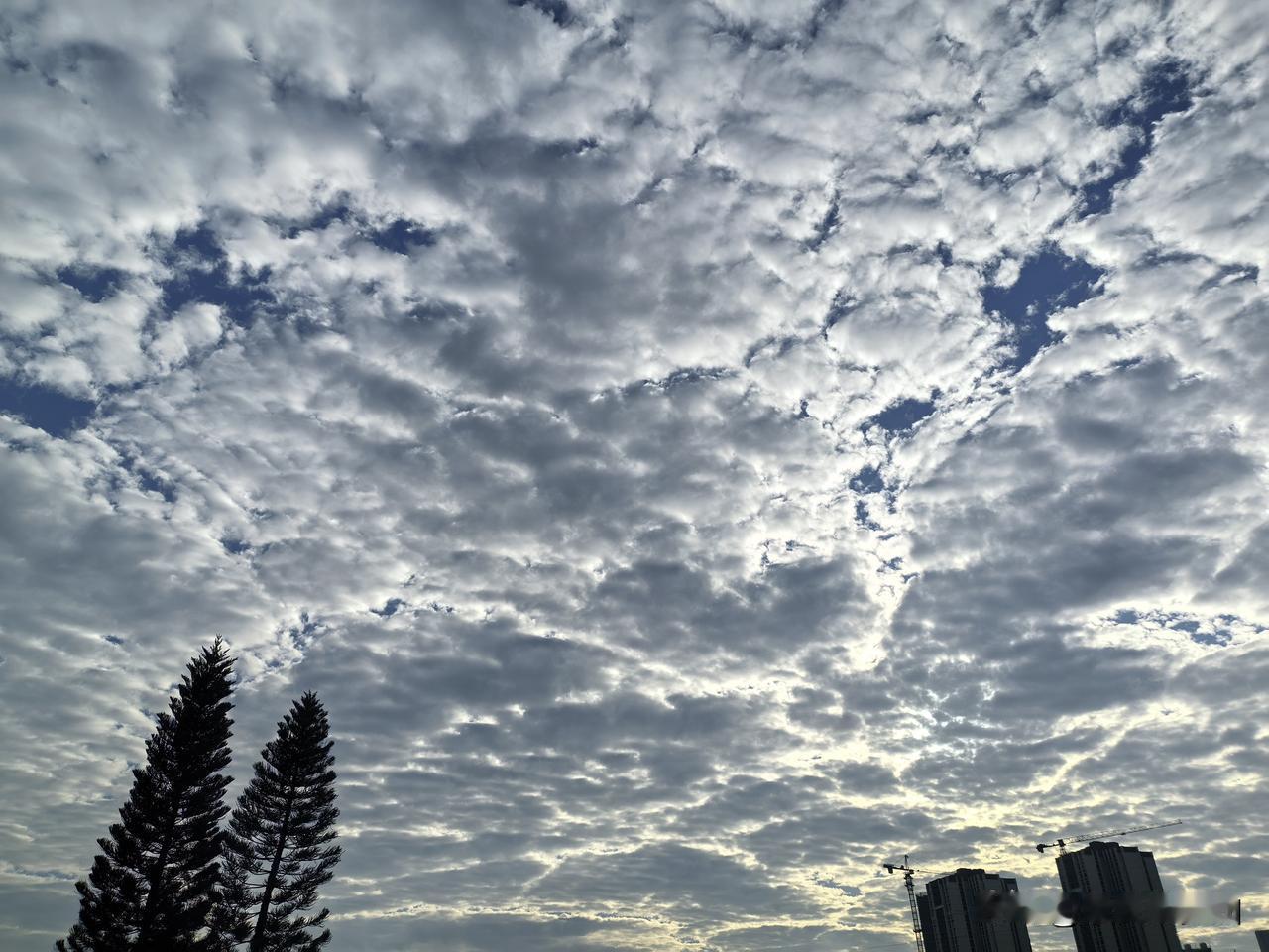 较强冷空气将影响我国！广东周末延续晴燥天气画风，下周将迎来新一股冷空气。23