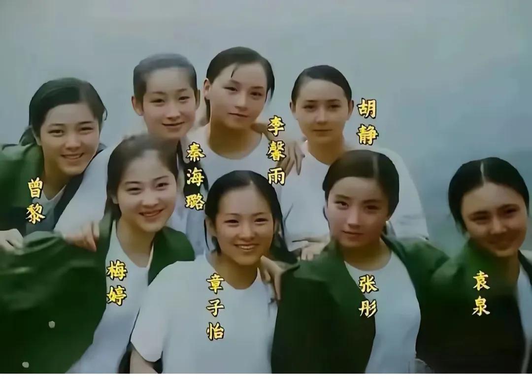 这是中戏的八大美女，你觉得哪位最漂亮？秦海璐