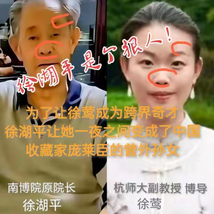 法院实锤！徐莺“庞家后人”身份全系虚构，跨界履历藏猫腻！好奇查了一下徐莺的资