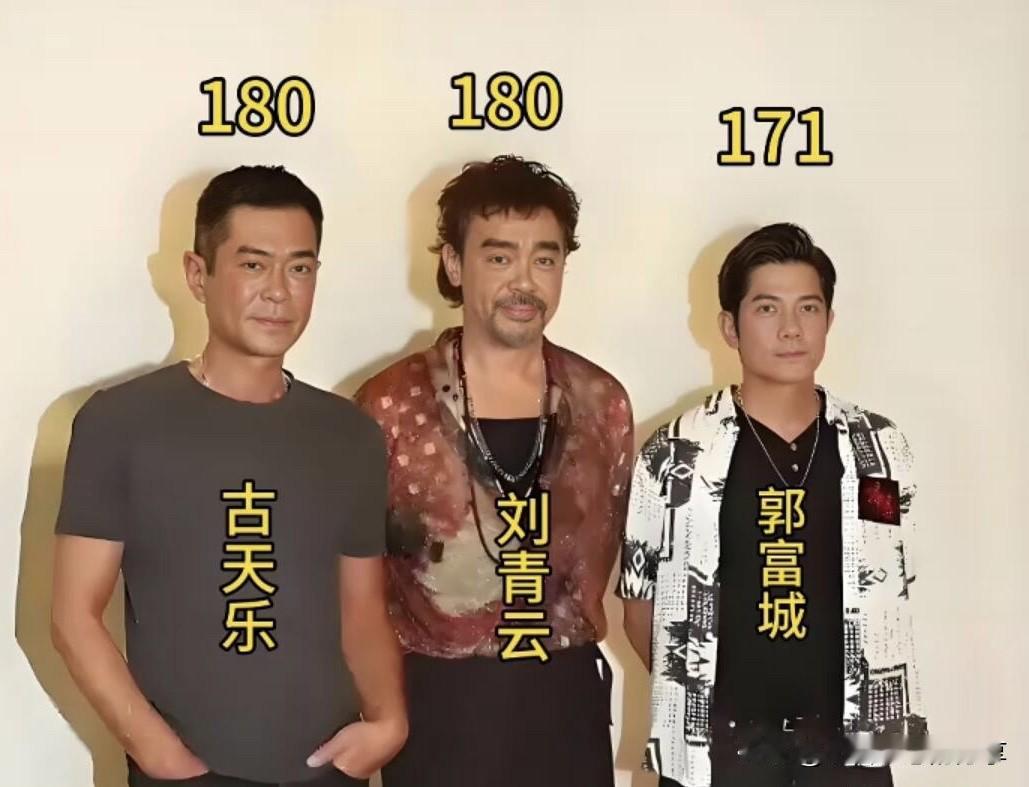 颜值在身高面前，真的不值得一提，郭富城那么帅气，那么英俊，也很有才华，可就是在身