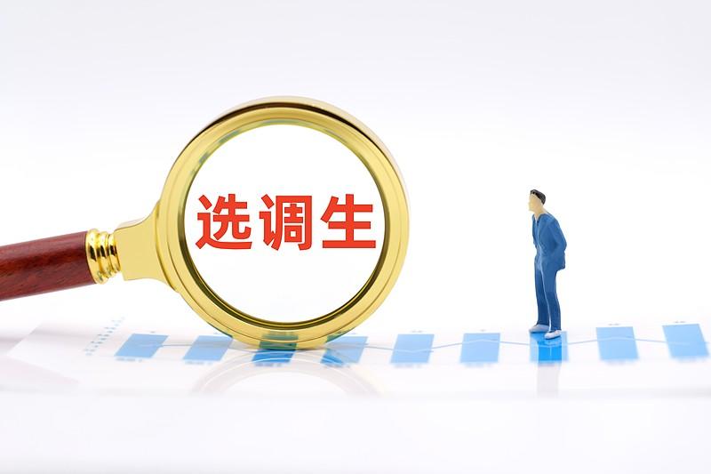 省直选调生的含金量有多高，哪怕是三线城市如果一个学生，硕士研究生。毕业于顶