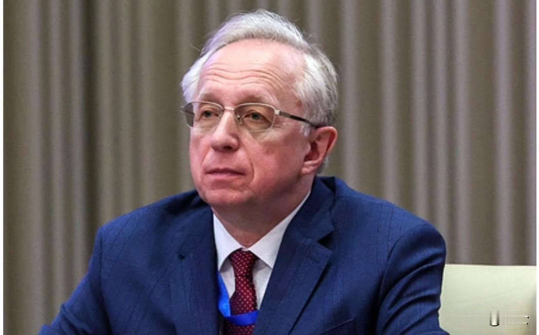 俄方将暂停军事打击据塔斯社2月15日报道，俄罗斯副外长加里金在接受该社采访时