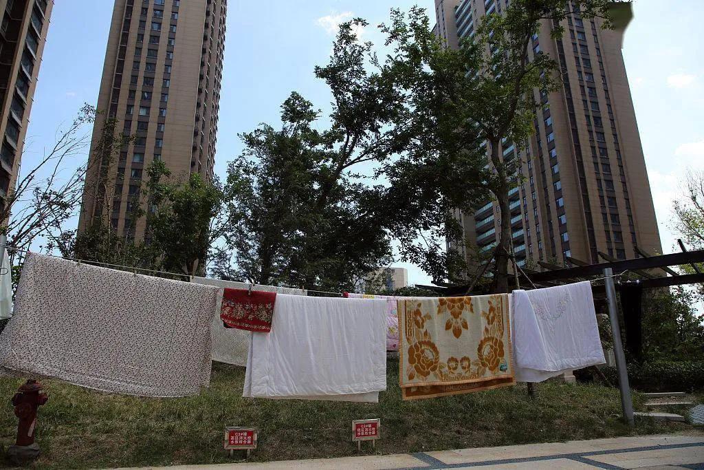 终于弄明白了为什么高档小区几乎看不到人晒被子，不是他们不讲究，也不是他们不想晒