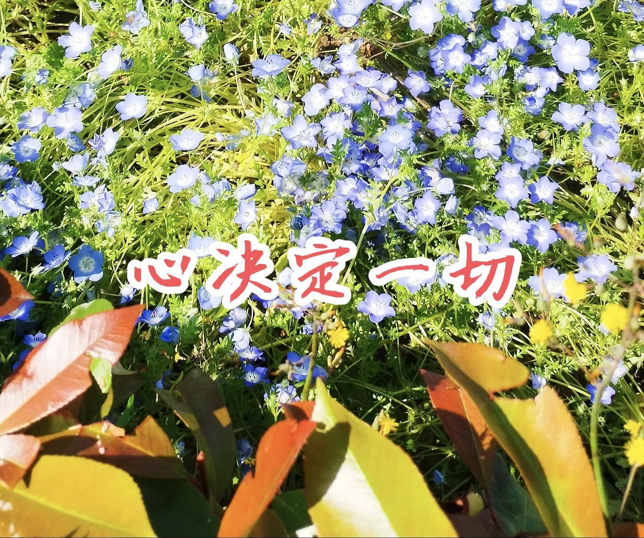 任何癌症康复，不是简单的瞄准治疗。你得明白多一些。身体的康复主要靠自己身体里边的