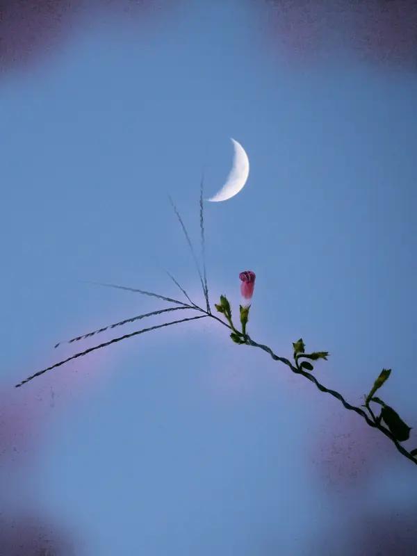 愿望：1，以后1000年都能看春花秋月。2，花花世界迷人眼，愿吾独醒。3，