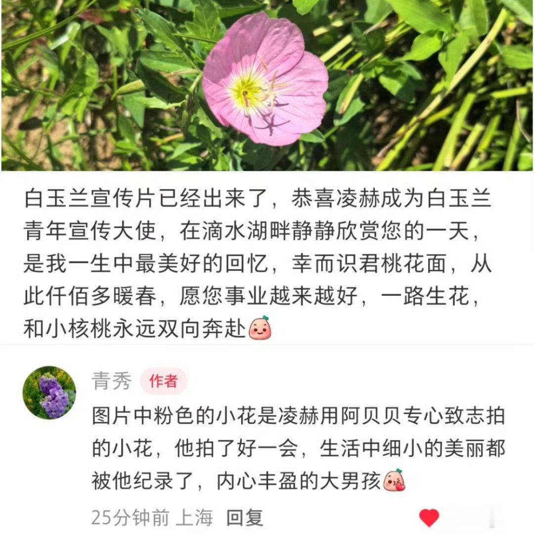 所以这就是在看🐟和在拍摄的你吗？你真的太美好了🥹