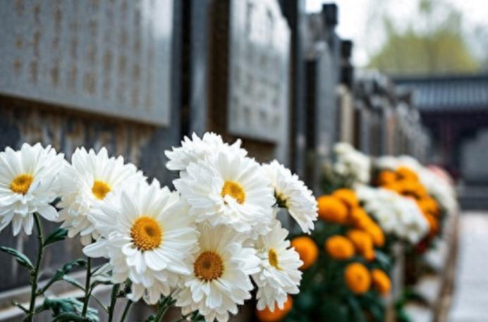 新的殡葬制度将于2026年3月30号执行，大概意思就是：一切从简，城