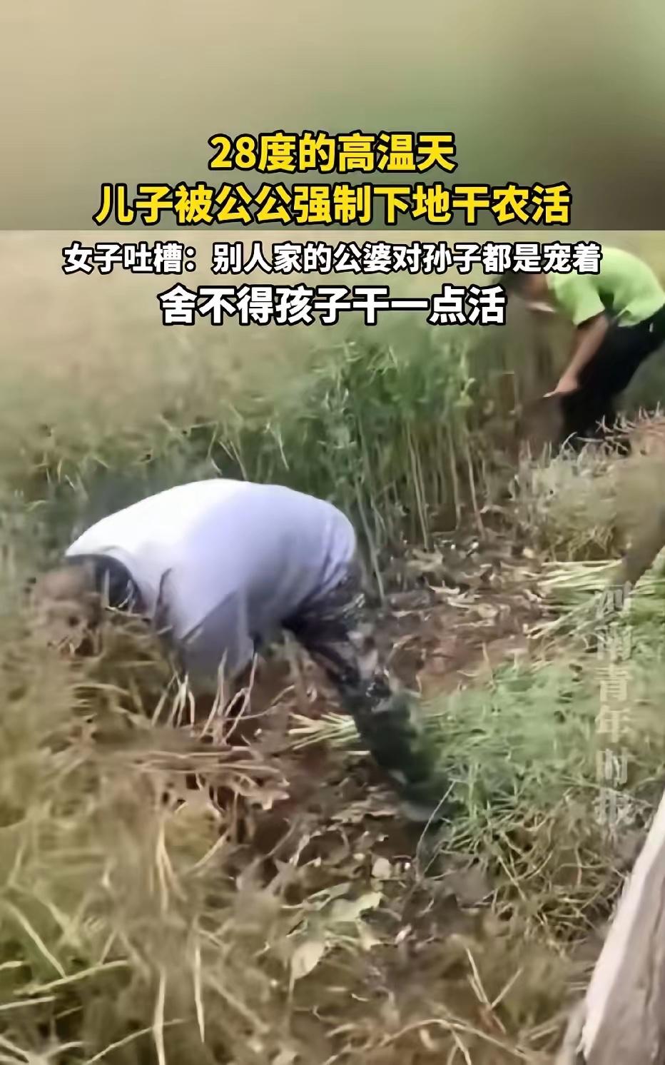 湖北，女子发文称:28℃大太阳的高温天，62岁公公非要逼14岁的儿子去田里干农活
