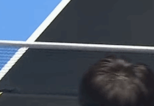 孙颖莎王曼昱争议球我看到热搜上孙颖莎球迷都在发动图，另一方球迷在发截图，我就知道