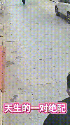 一张床睡不出两种人！大清早，两口子路过一家门店，媳妇儿看到有一袋东西放在门口