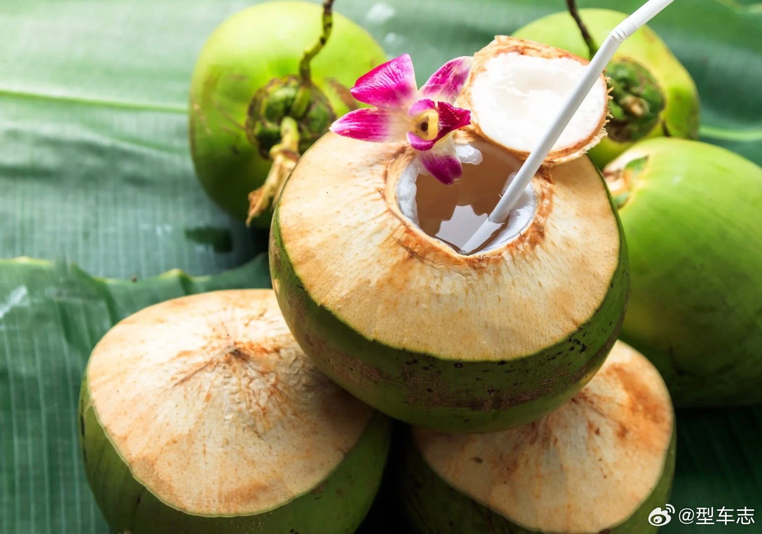 多款100%椰子水被曝兑水加糖椰子水到底是不是椰子里天然流出来的水？理论上是，但