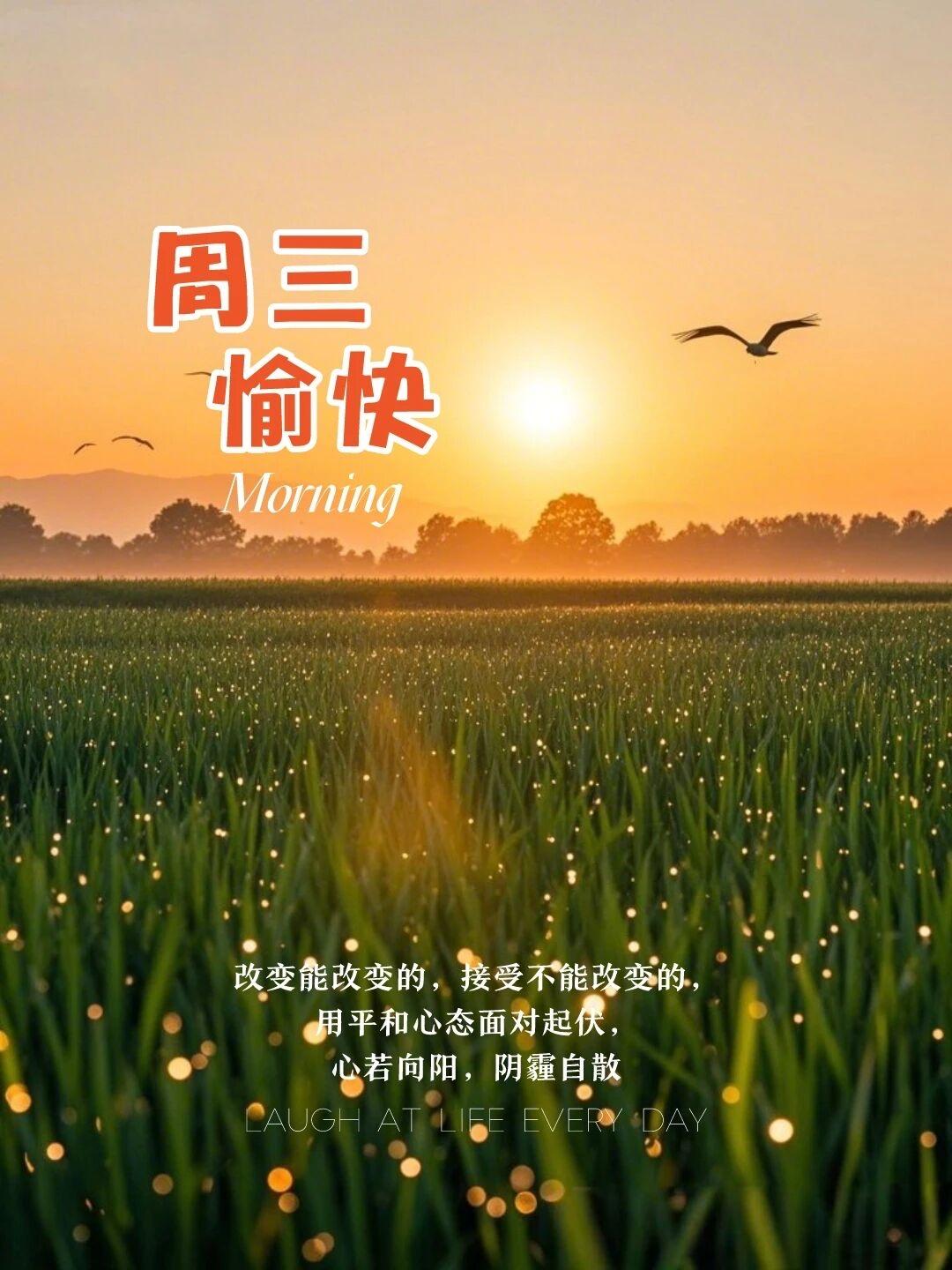 日出有盼，日落有思，   生活，可以繁花似锦，   也可以粗茶淡饭