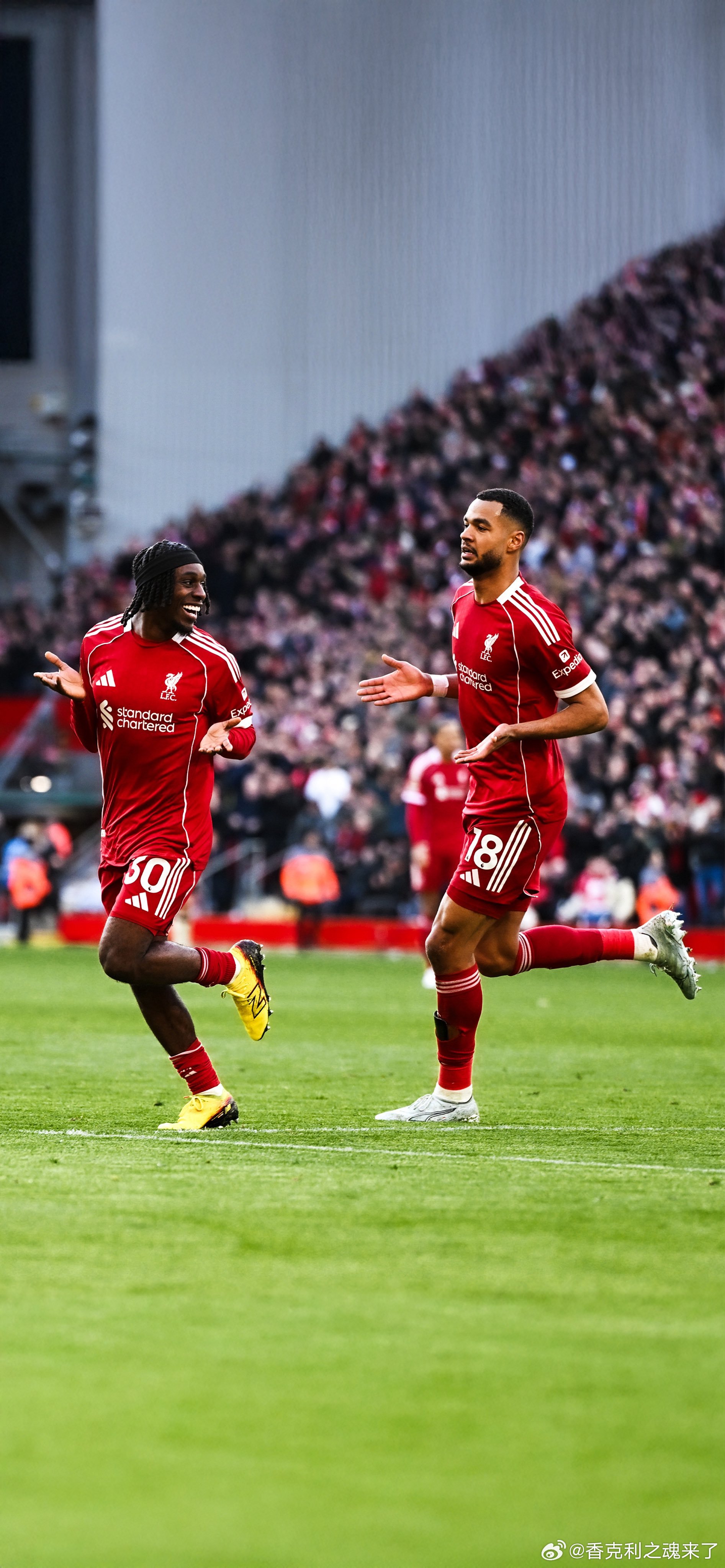 利物浦对阵西汉姆的手机图，1-4张是其他讲究精彩图了