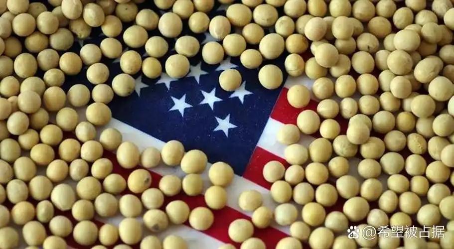 美国大豆为什么非得卖给中国？其实，从美国的角度来看，三年不向中国出口大豆，扩大国