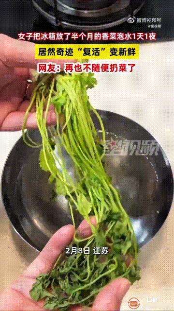 “长见识了！”江苏一名女子把香菜放进冰箱里，谁料一直没有拿出来食用，直到半个月后