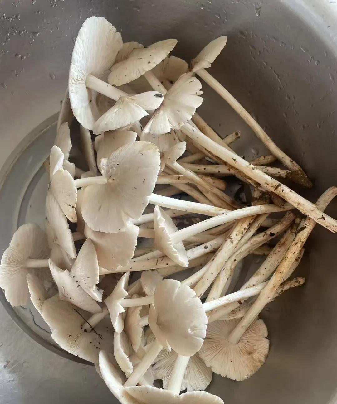 婆婆给我打了三个电话，公公打了两个，但我都不接。一直以来，我对公婆都挺有意见的